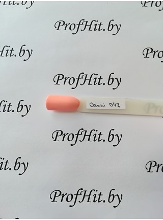 Гель-лак Canni № 048