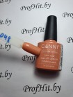 Гель-лак Canni купить недорого 048