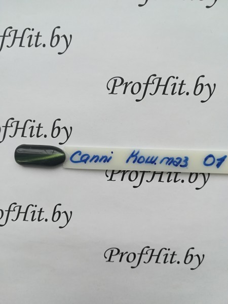 Финишное покрытие Canni top "кошачий глаз" № 01